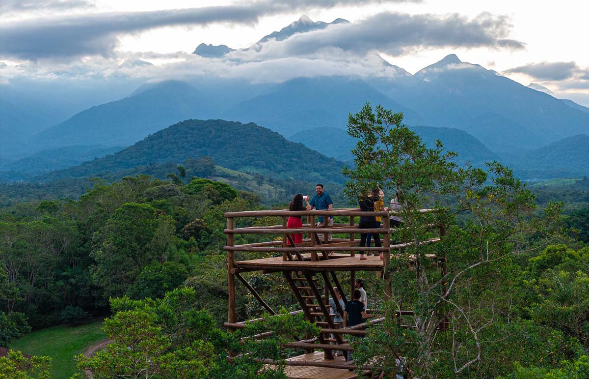Após mais de 1 milhão de mudas plantadas, área de conservação do Paraná ganha torre para observar a biodiversidade da Mata Atlântica