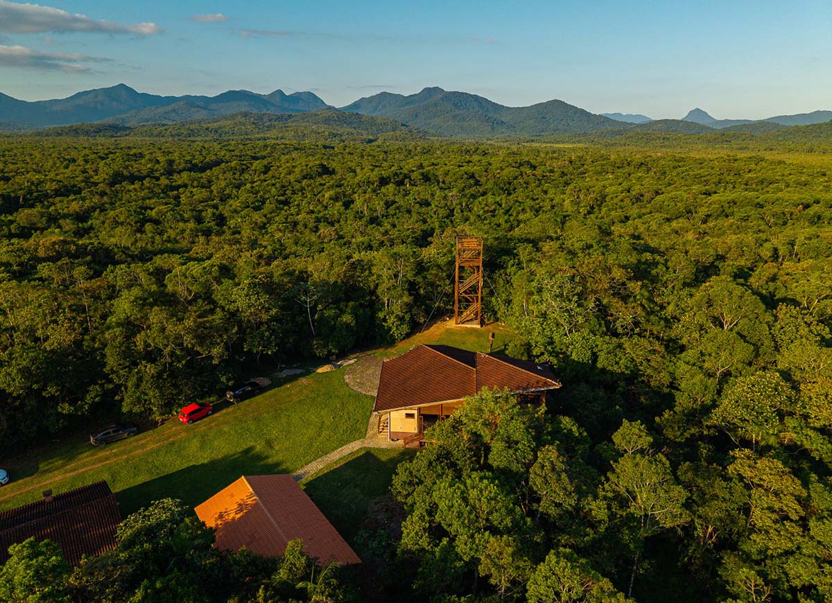 Após mais de 1 milhão de mudas plantadas, área de conservação do Paraná ganha torre para observar a biodiversidade da Mata Atlântica Após mais de 1 milhão de mudas plantadas, área de conservação do Paraná ganha torre para observar a biodiversidade da Mata Atlântica