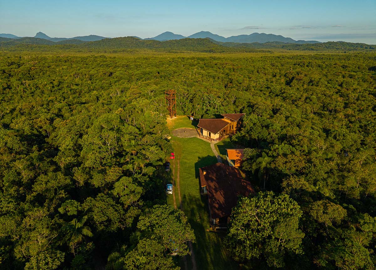 Após mais de 1 milhão de mudas plantadas, área de conservação do Paraná ganha torre para observar a biodiversidade da Mata Atlântica Após mais de 1 milhão de mudas plantadas, área de conservação do Paraná ganha torre para observar a biodiversidade da Mata Atlântica