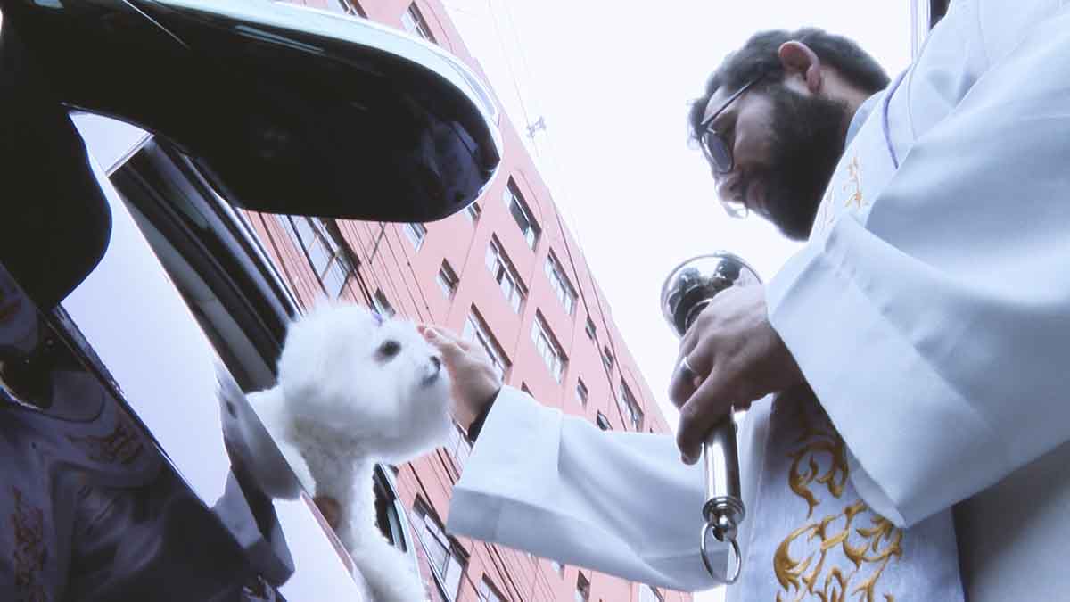 Evangelizar promove Bênção dos Animais em homenagem a São Francisco de Assis